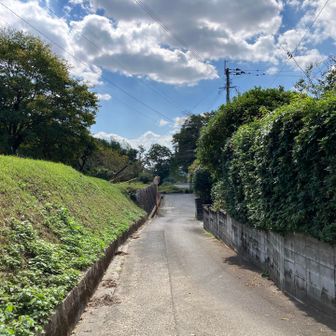 スタート地点まで舗装路で戻ります