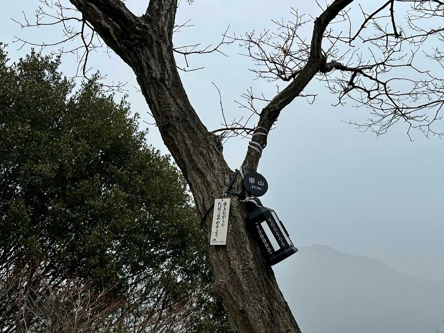 東山（標高253m）⛰️✨