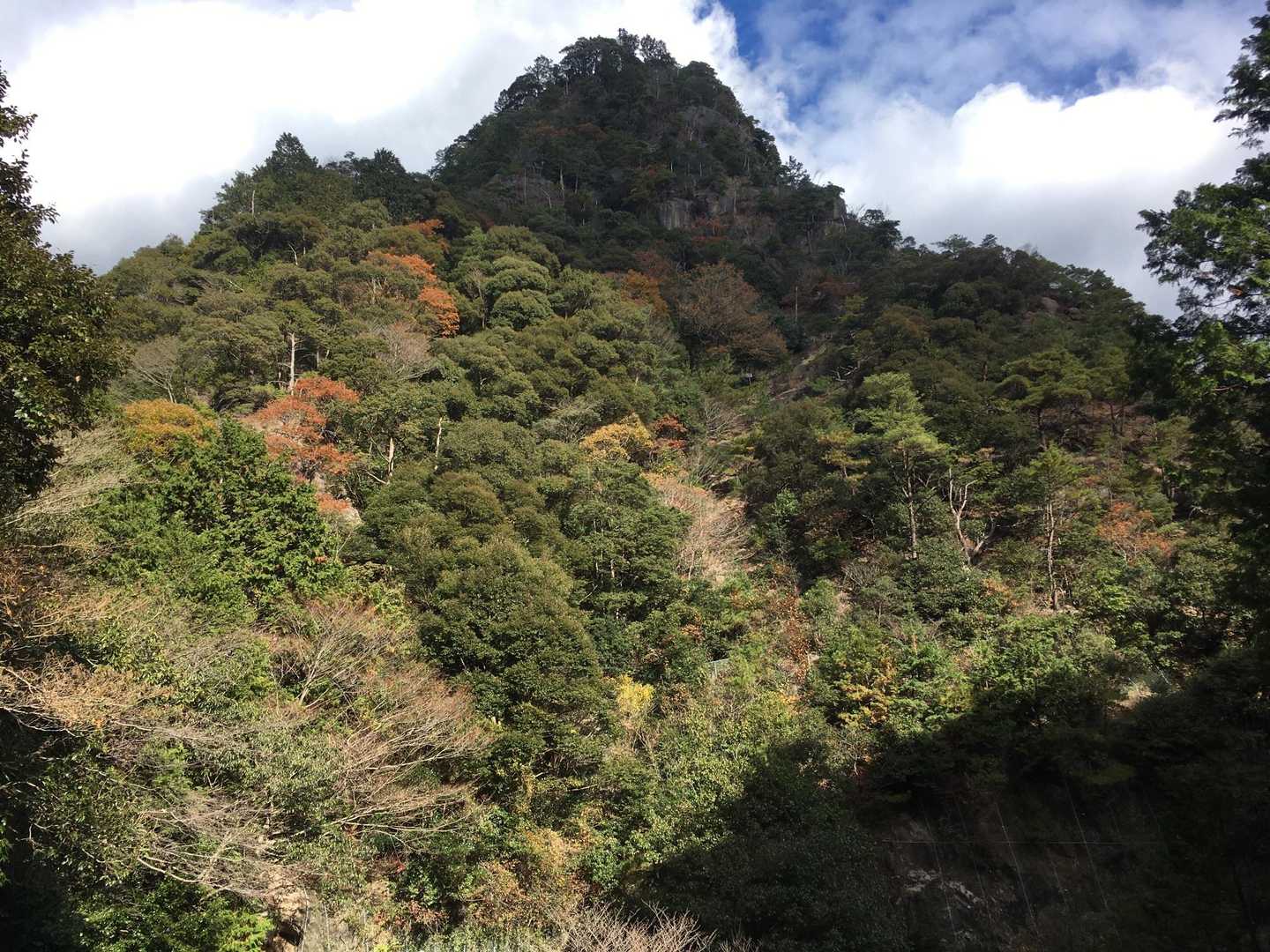 鬼ヶ牙東峰　ロッククライミングの練習壁だそうです。私は絶対無理😅