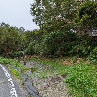 車道から右手の登山道へ👣