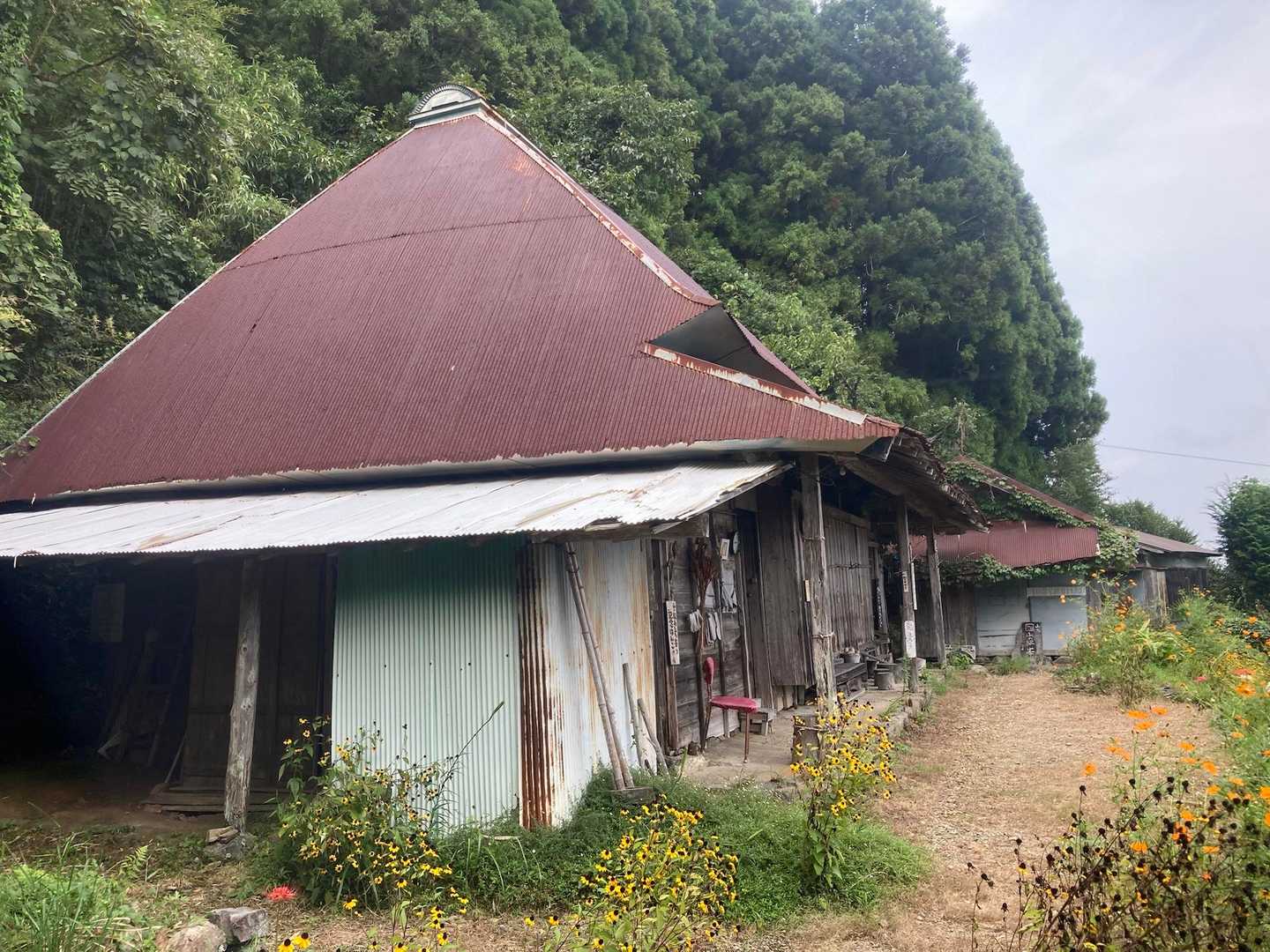廃屋を