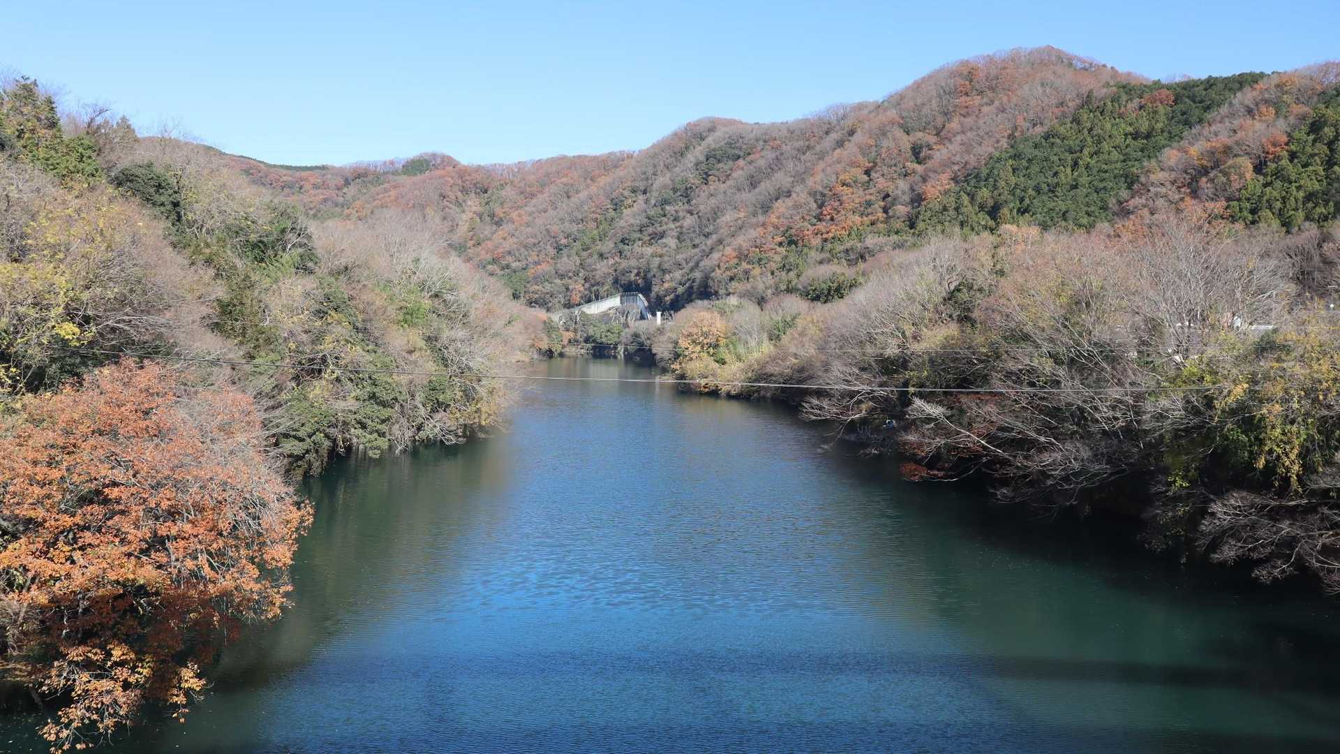 荒川のたおやかな流れ