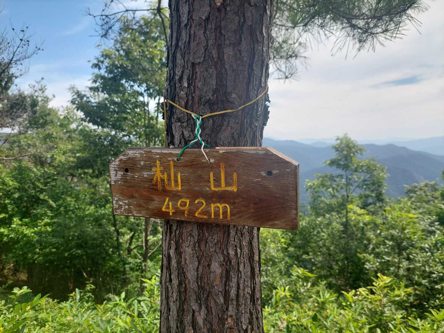 杣山🙌