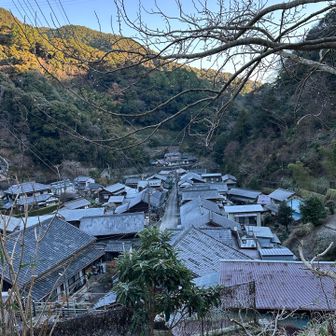 今日は冷たい💧
ブルブルと歩く💧