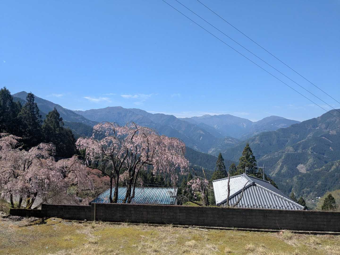 川井峠からスタート🚶
天行山→東宮山⛰️