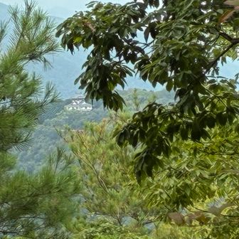 岩国山からの岩国城🏯