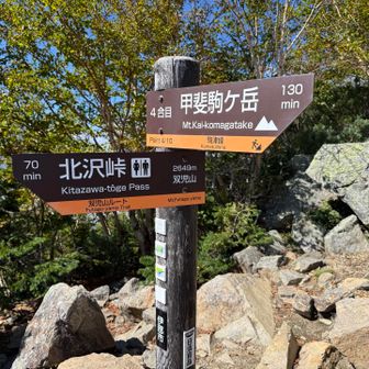 こっから早足でも1時間はかかったので、普通なら1時間半は絶対にかかる
