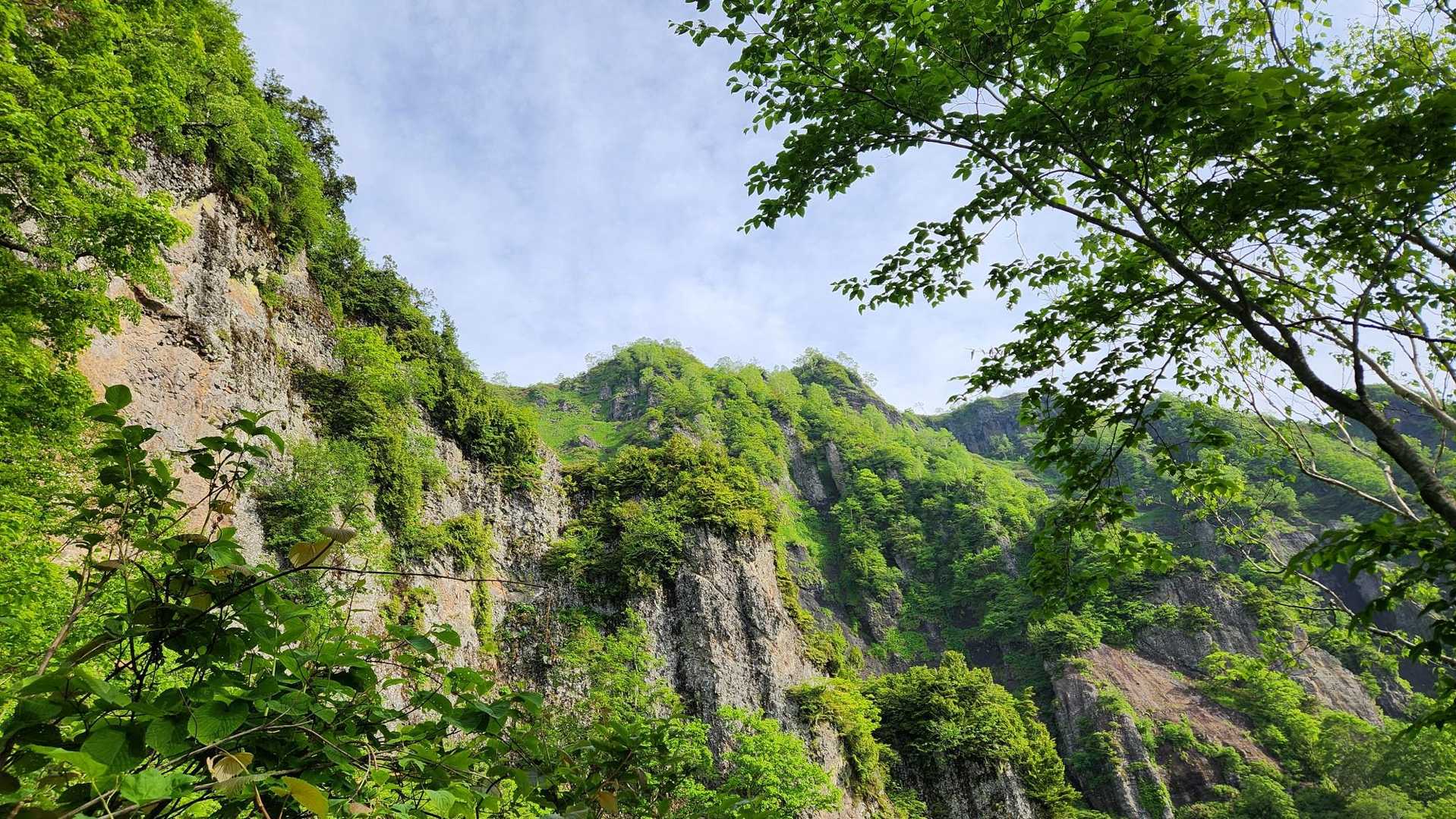 奥社付近の登山口からは、いきなりの急登が続きました。
雨天後で濡れていたので、スリップしないように慎重に歩きました。