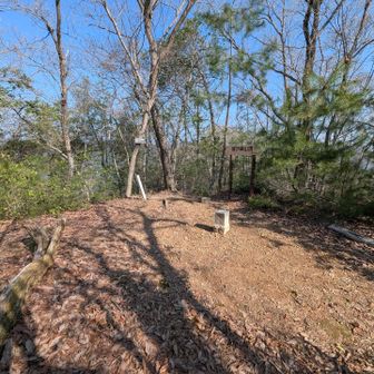 頂上はこんな感じ✨