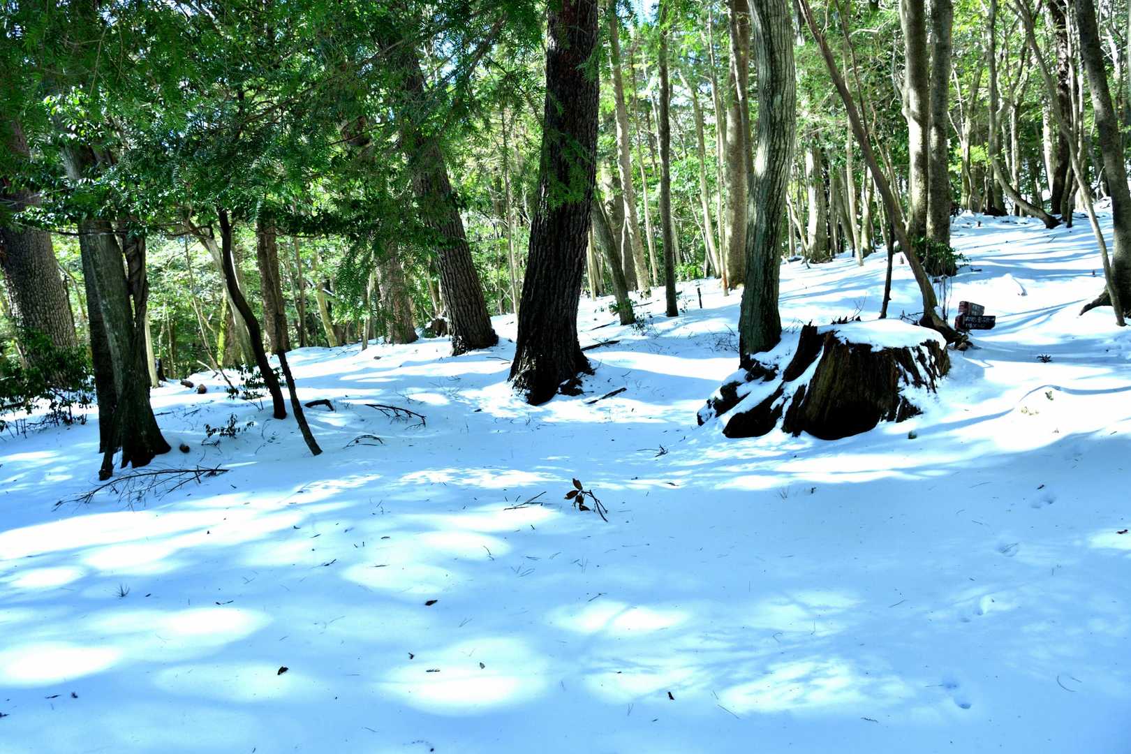 登山口まで
この様な雪化粧してます。