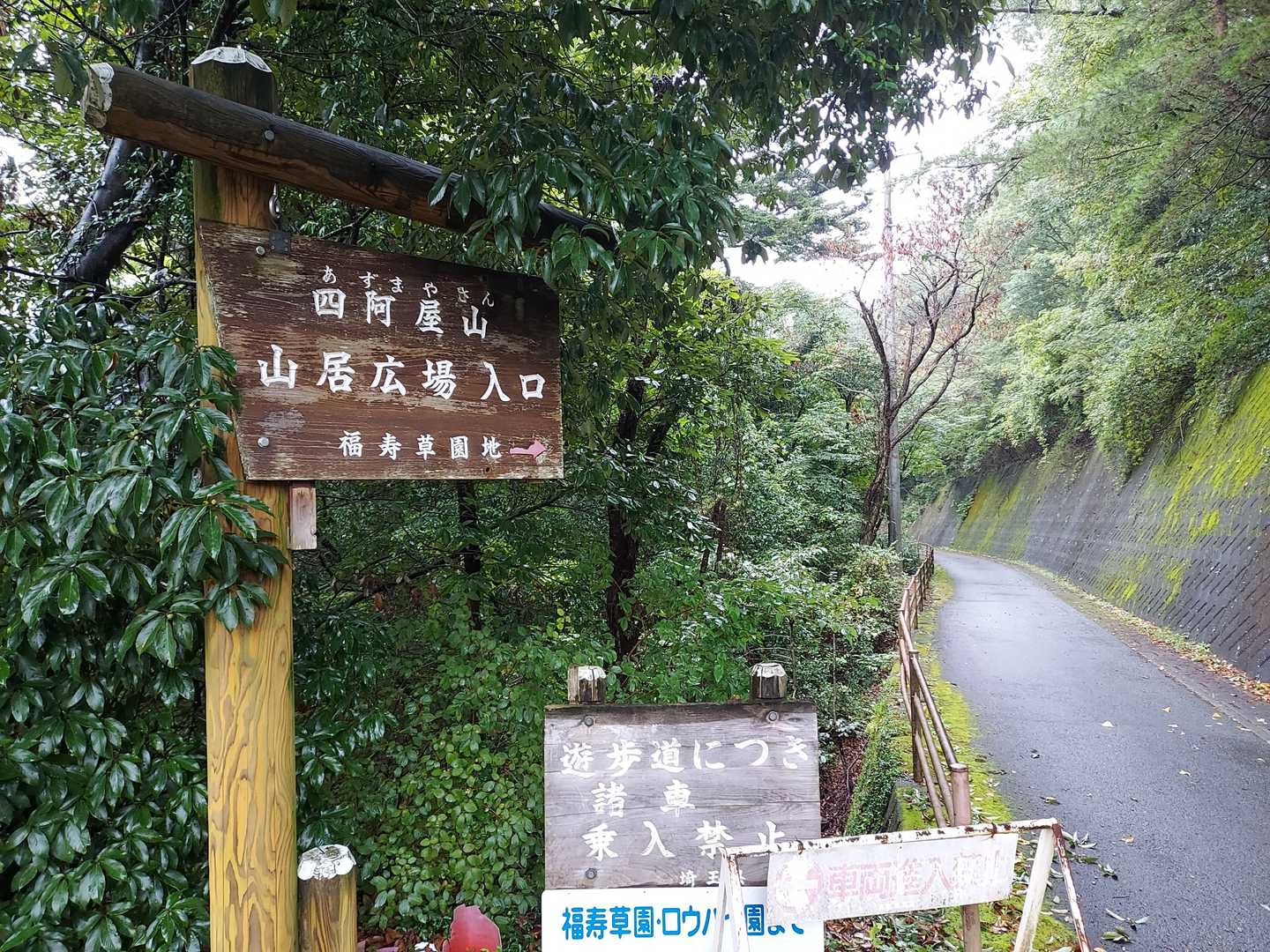 テクテク👣