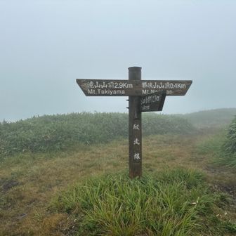 真っ白でしたが、予定通り滝山に向かいます。レインウェアのおかげで寒さは全く感じず快適に歩けました。