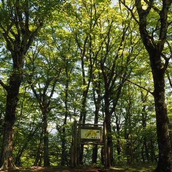 三国山方面をチョイスする登山者は少なめでした