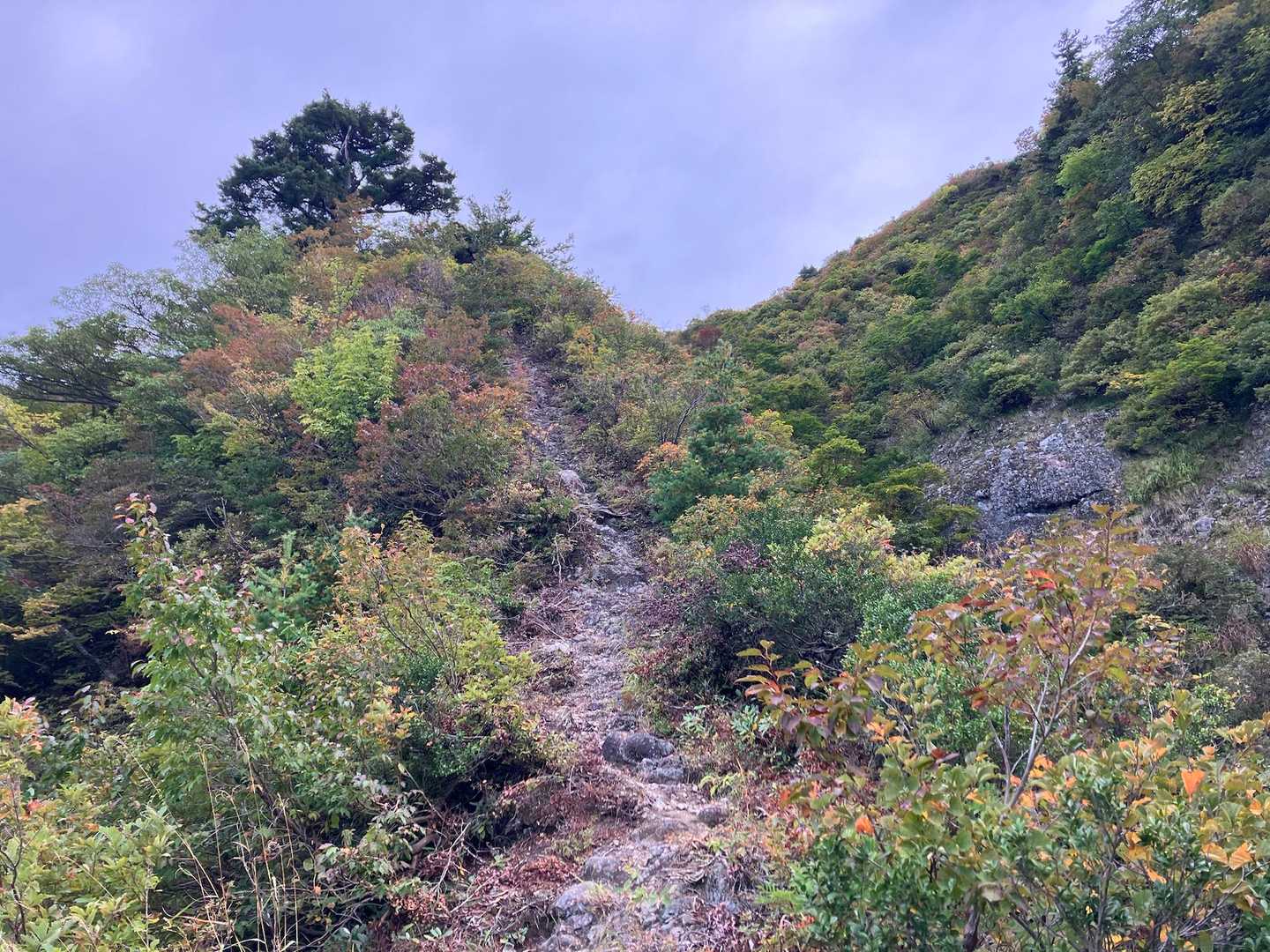 【周】八海山（2合目登山口）＜屏風道・八ッ峰・入道岳・新開道＞の写真
