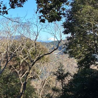 そして、富士山が見えました‼️
大きくくっきり🗻
愛知県民一同感動です！
去年来た時は眺望なかった気がするけど富士山ポイントでした🗻