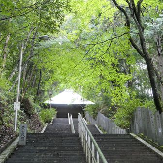 トレーニングにはもってこい。天気の良し悪し関係なし。