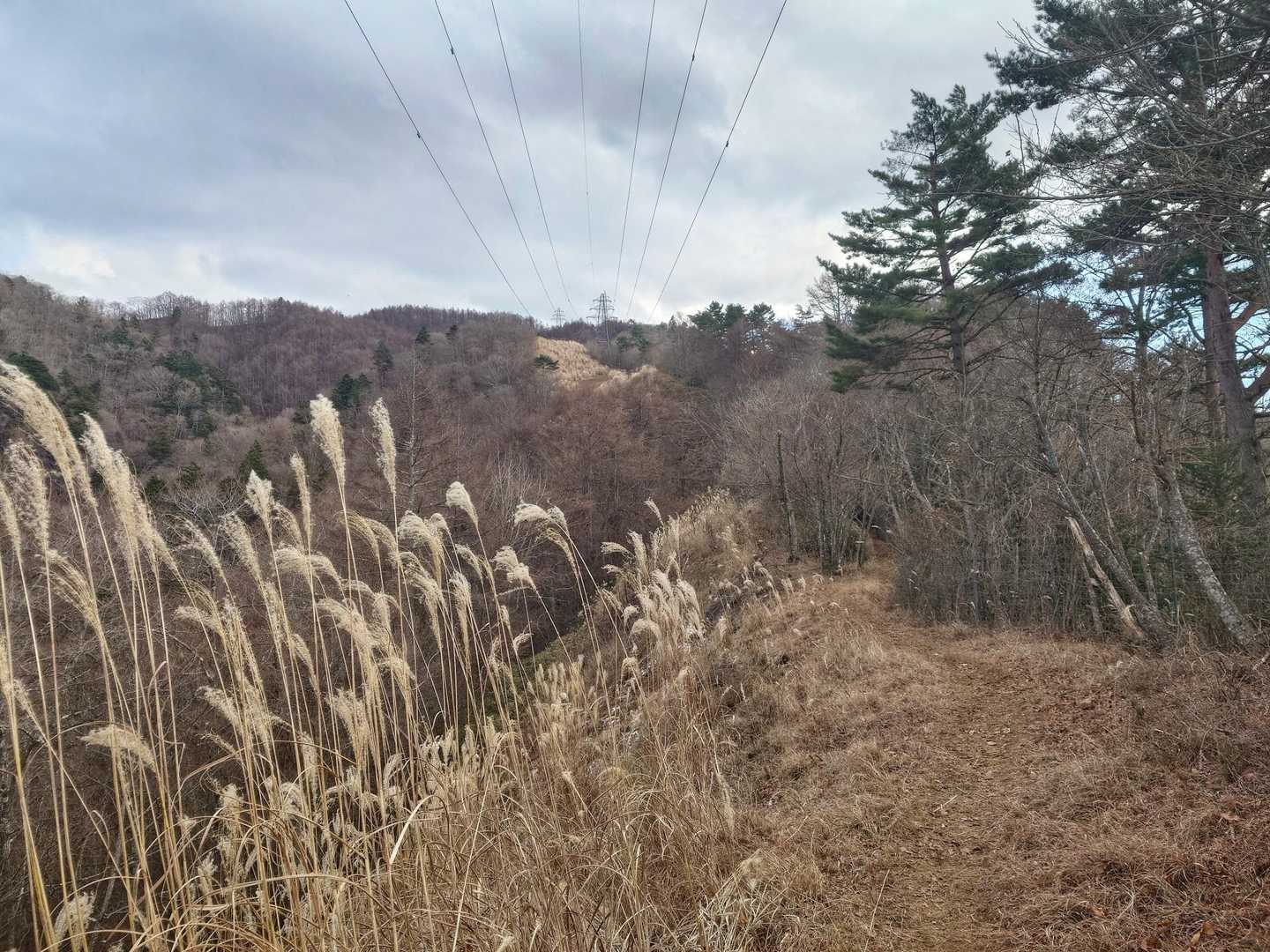 とりあえず登ります🥾
