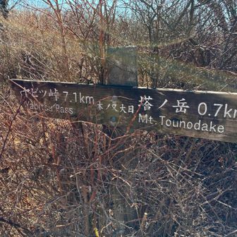 木ノ又大日。塔ノ岳はもう少し！