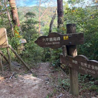 六甲の文字を見て

あーー✨✨✨
今、六甲山に登ってるんだと実感❗️❗️

遠くまで来たもんだ🤭
