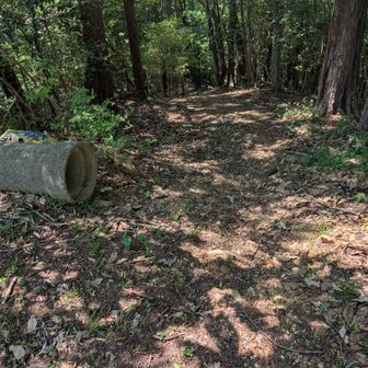 鹿が２頭、横切りました。
急降下です