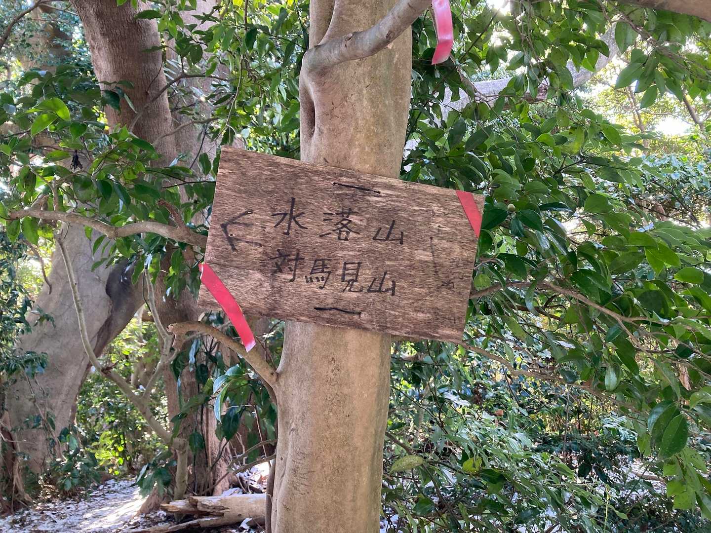 ここからさらに水落山、対馬見山まで縦走路は続いている。