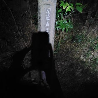 もっと近いバス停があるらしいけど、バスがなさげだったので足原で下車。
スマホの影と重なってますが、こちらが登山口です👍️
