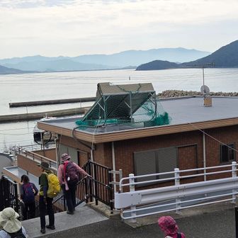 高台の公園で其々にランチタイム
玄海島では猫カフェ有るけど商店らしき場所が無いのでお弁当&おやつは持参するべし
博多港のパン屋さんで焼きたてパン🍞が買えますよ
自動販売機あります
