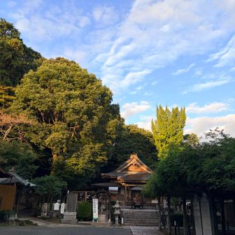 武蔵寺
厳かな雰囲気でした