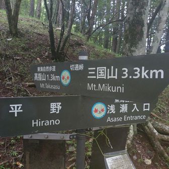 切通峠🌲