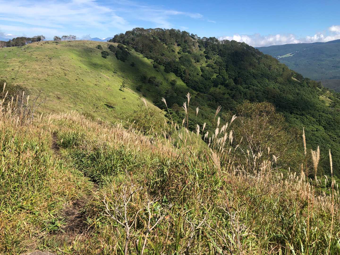 最終目的地の殿城山