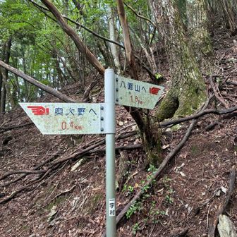 残り1.6キロ。まだまだ元気。