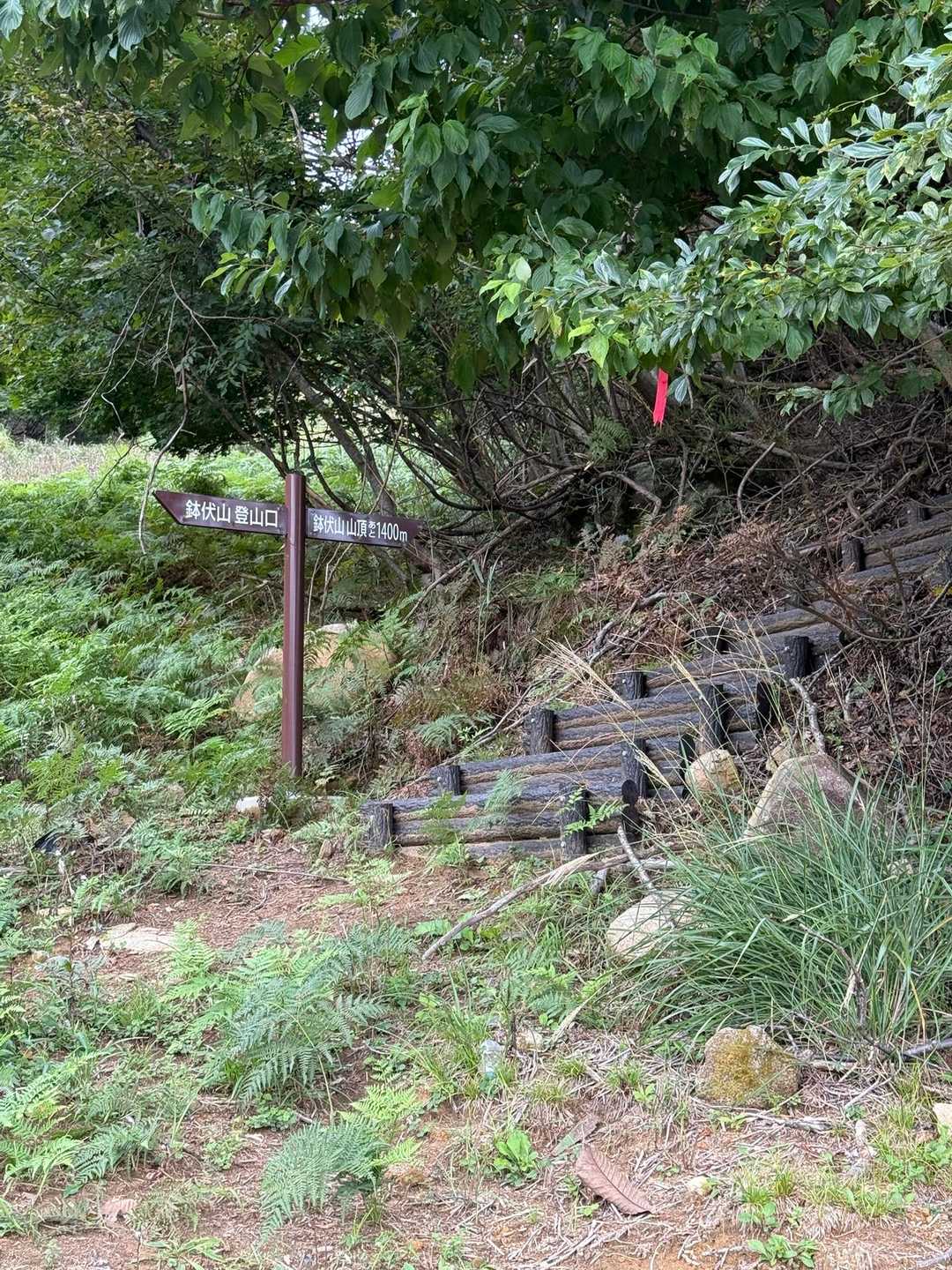 鉢伏山 往復コースの写真