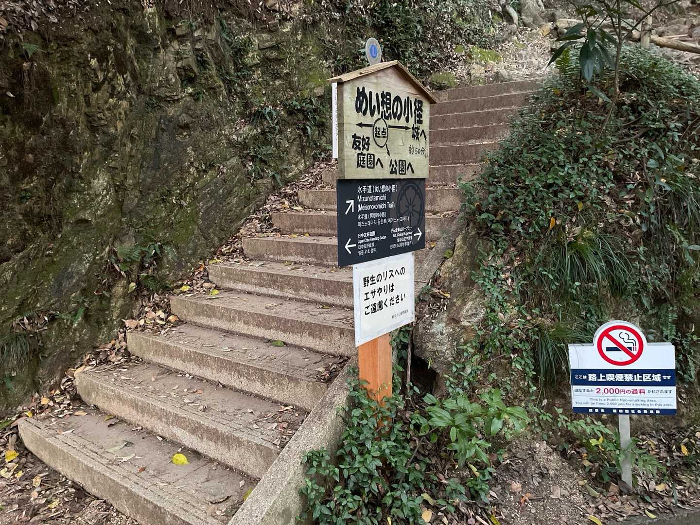 めい想の小径登山口-金華山-金華山ロープウェイ 山頂駅-七 周回コースの写真