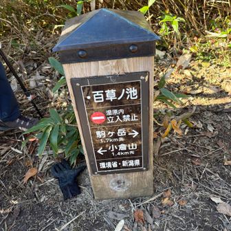 百草ノ池