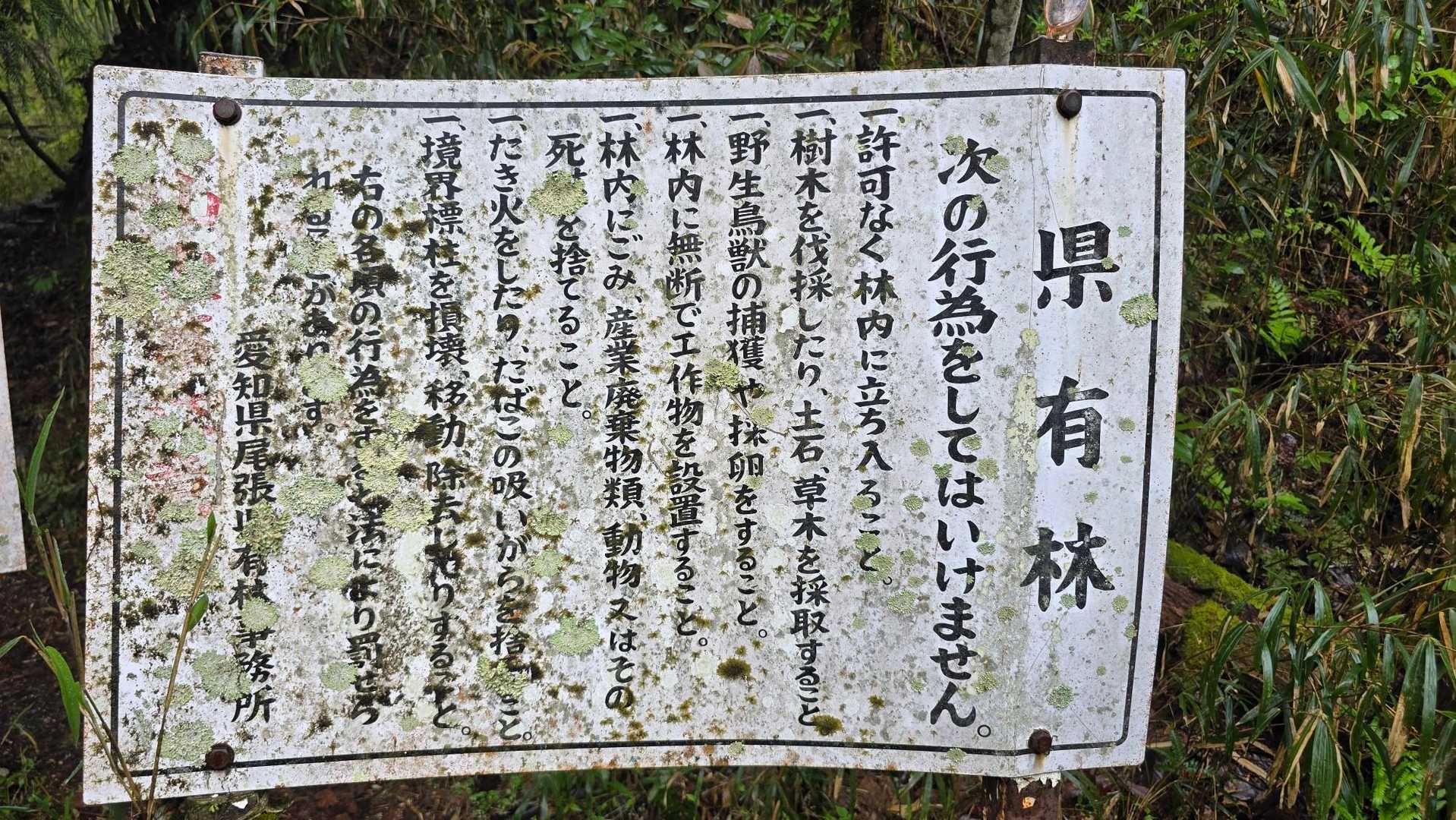 物見山-赤猿峠 周回コースの写真