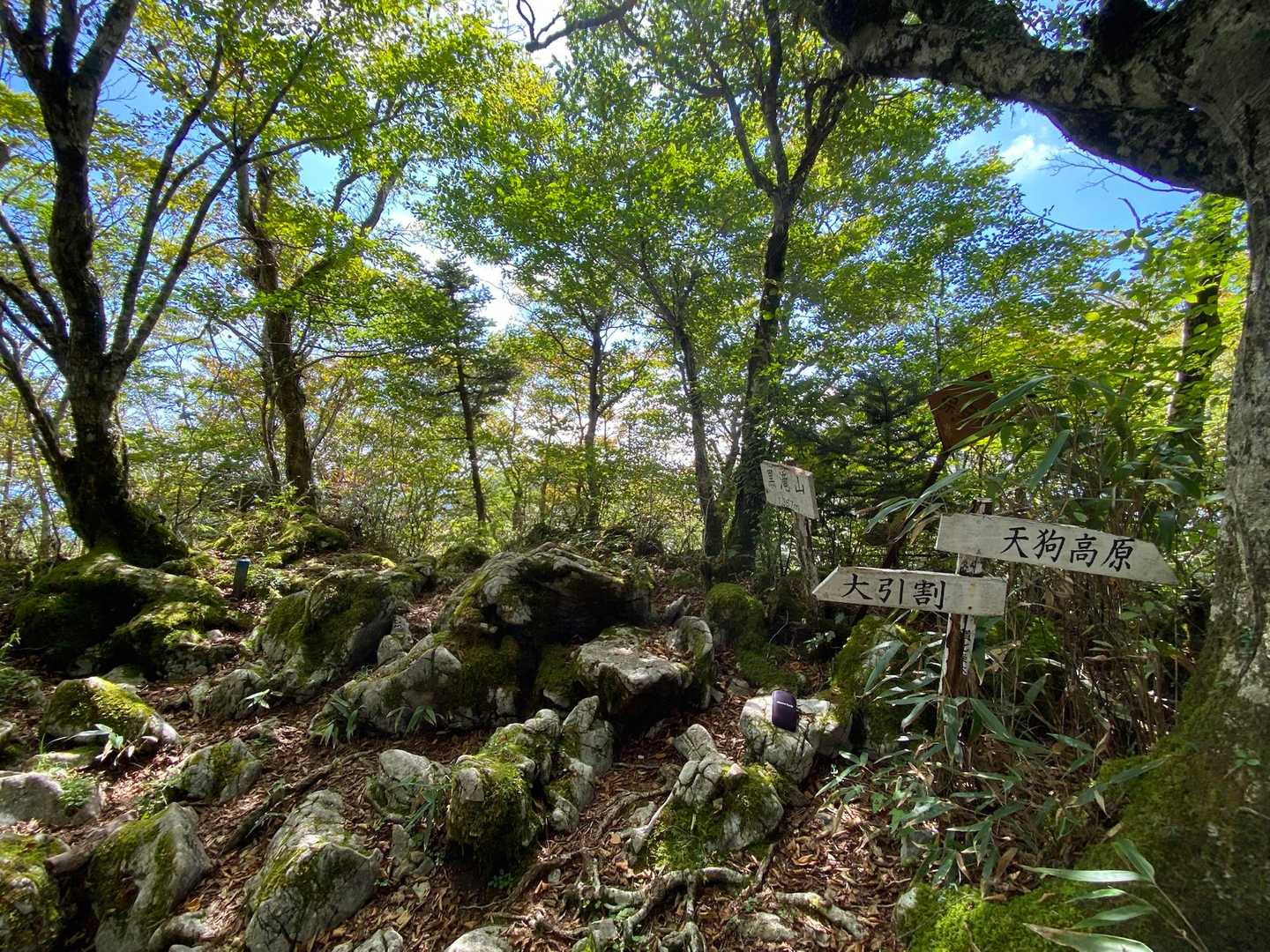 黒滝山到着！