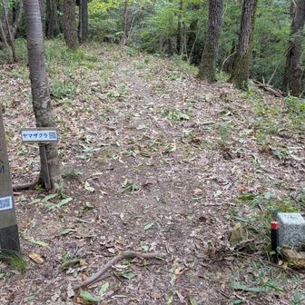 日岡山▲
汗かいて…メマトイとアブが寄ってくるわい😖