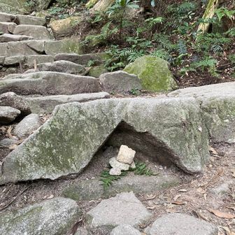 分からないけど安全を願って手を合わせてみました😌