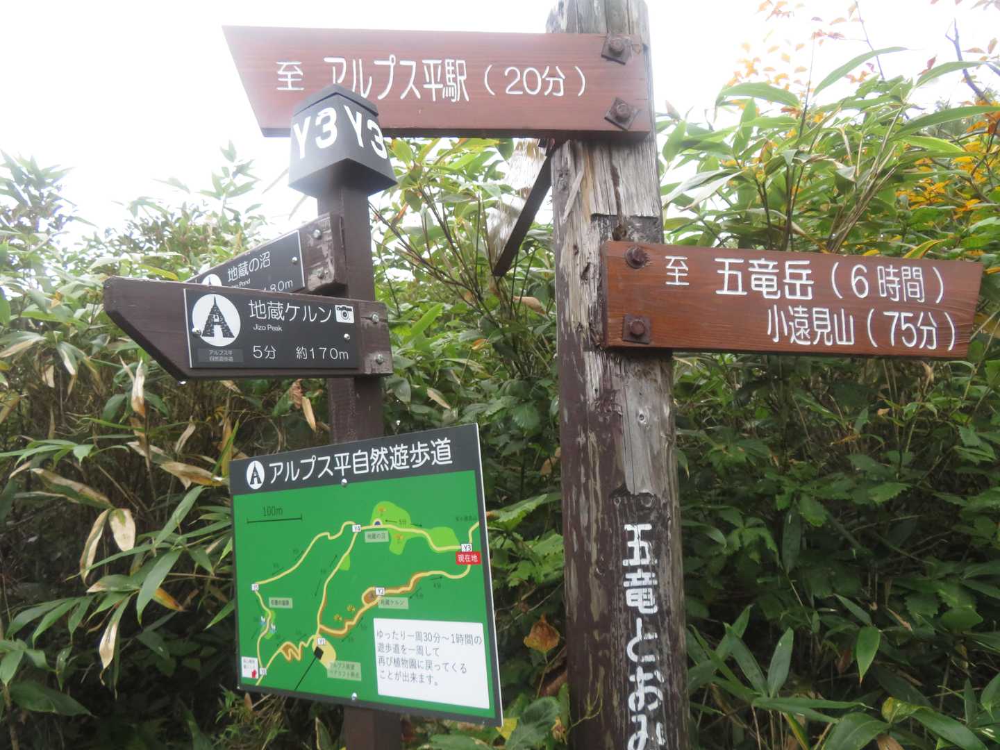 往路パスした地蔵のピークによりますよ、と🐾