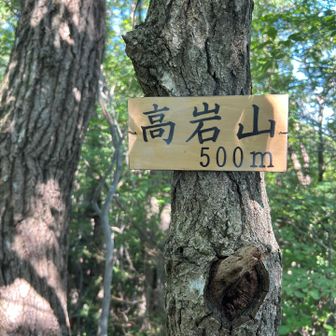 「高岩山500m」山頂標識