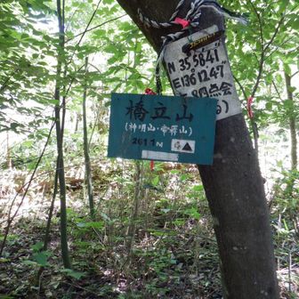橋立山