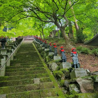 階段を下りました
いい景色💚