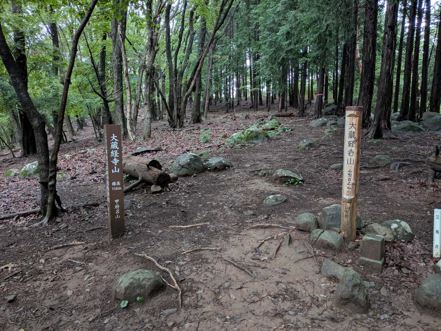 はい。山頂です。
あっという間でした😊