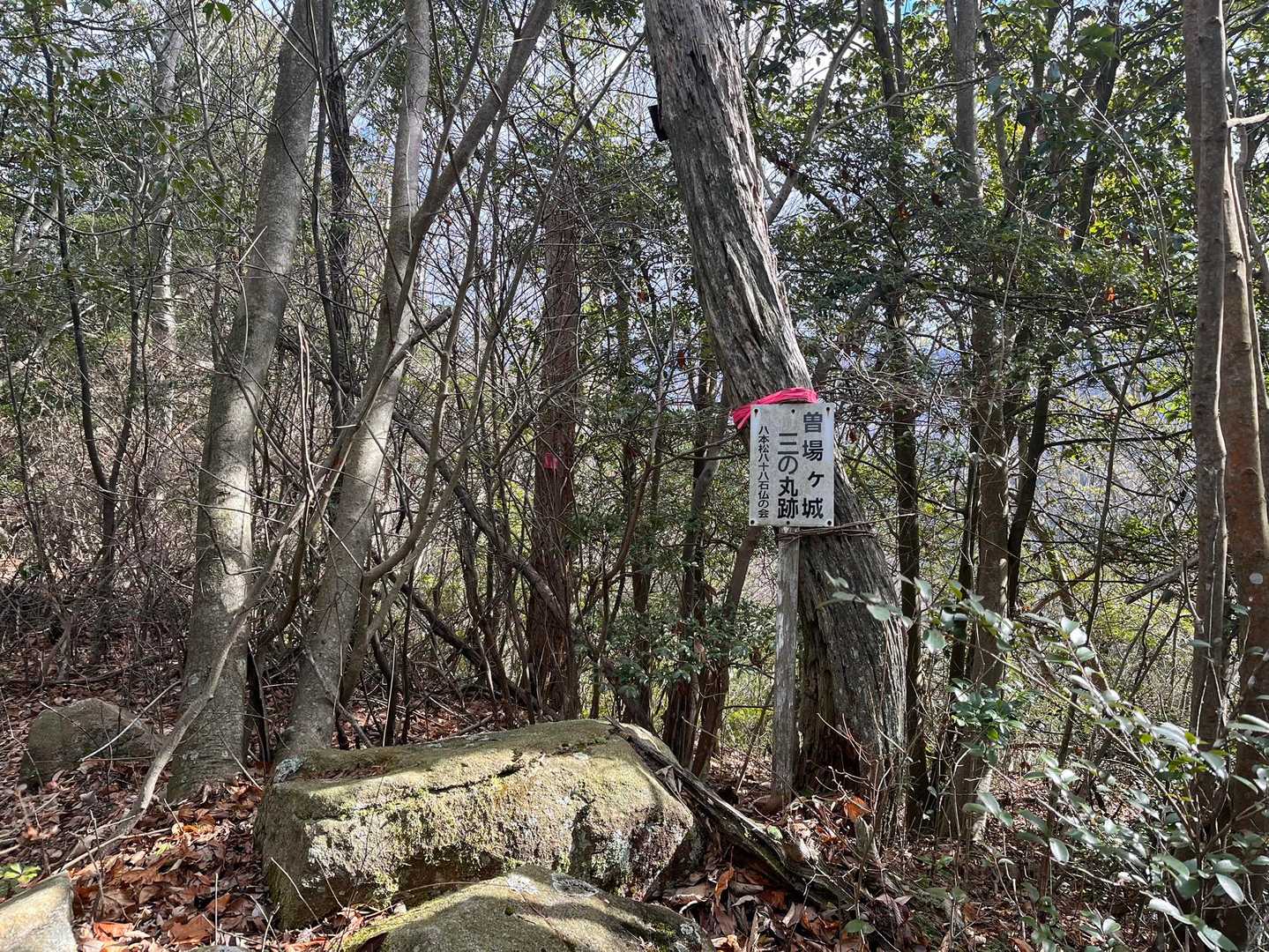 三の丸跡