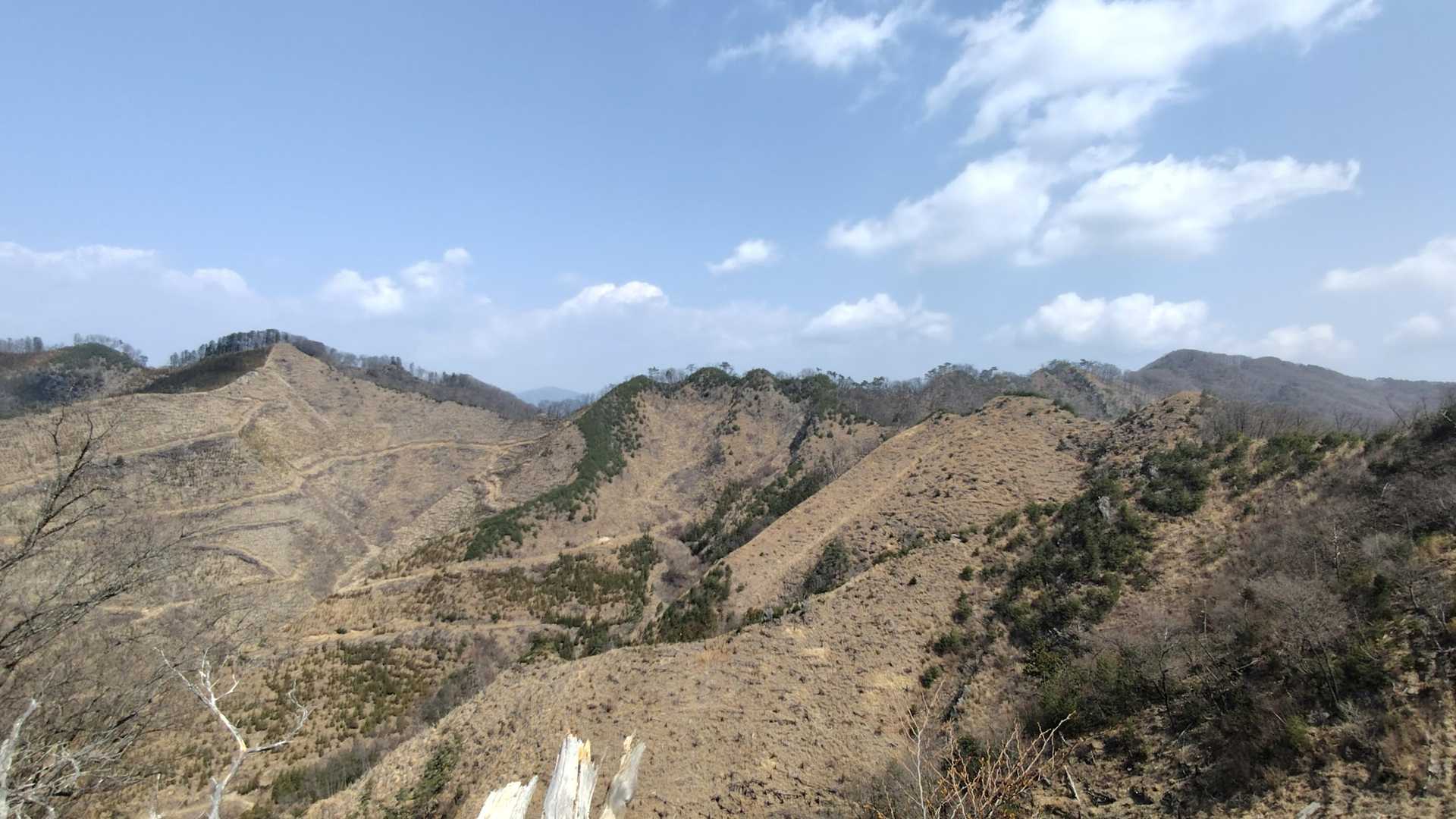 前半の伐採地がよく見えます