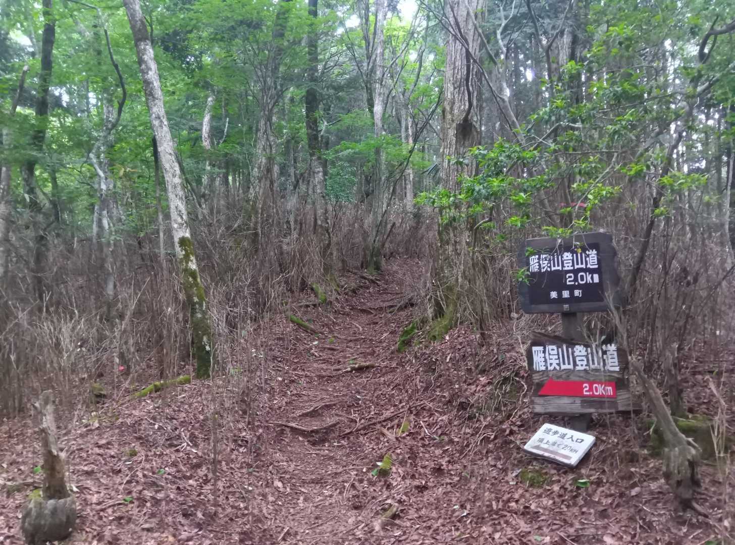 雁俣山登山口-雁俣山-京丈山 周回コースの写真