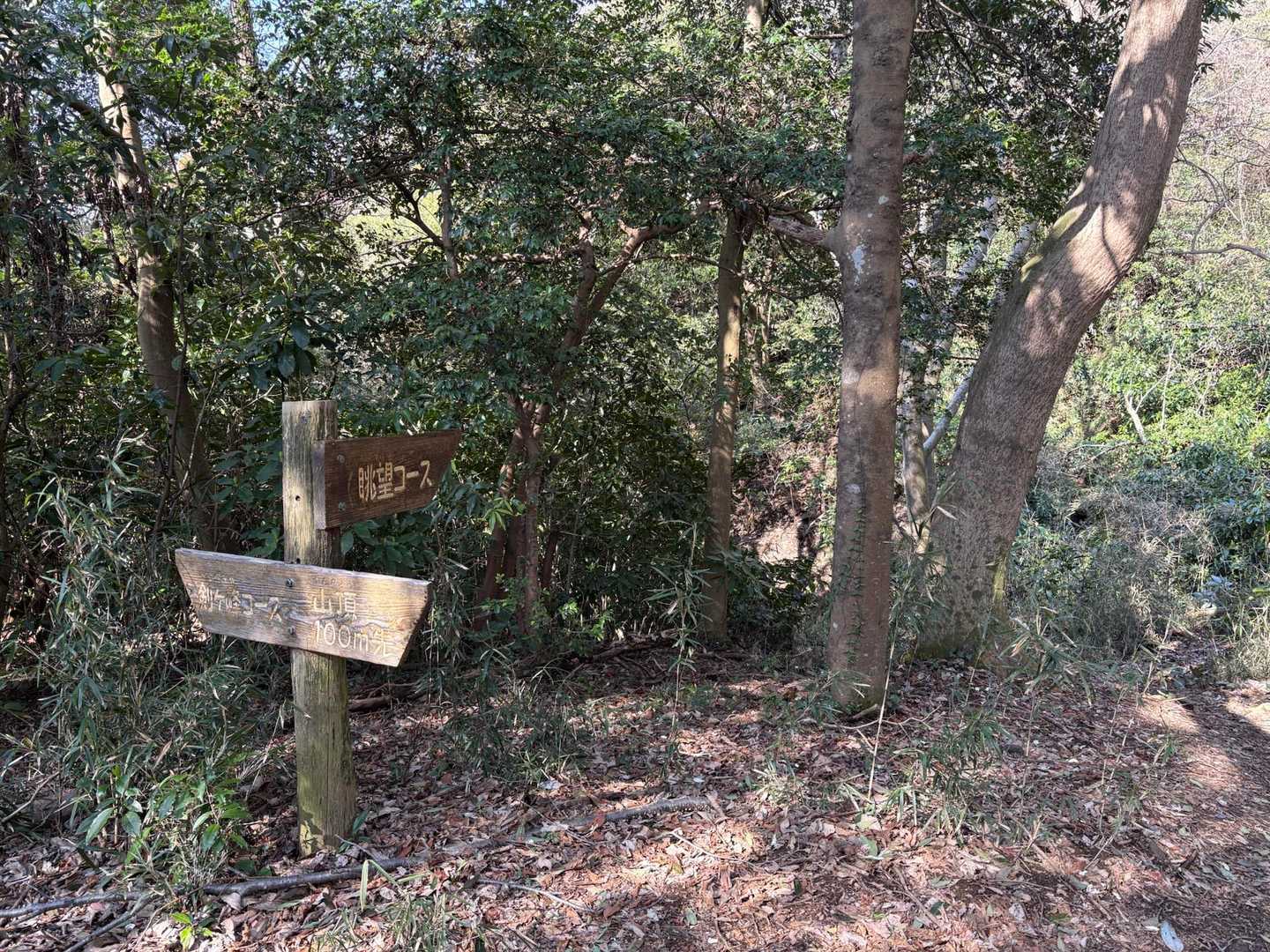 眺望コースは泥地帯があり細い⚠️