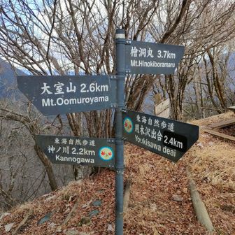 用木沢コースの人が多い
檜洞丸まで3.7km