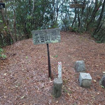 山頂でカップラ