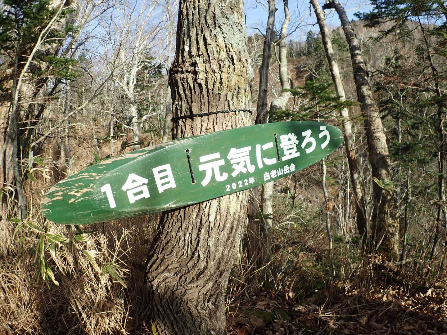 きれいになってます